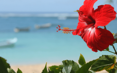 Séjourner à l’Île Maurice en respectant le Shabbat