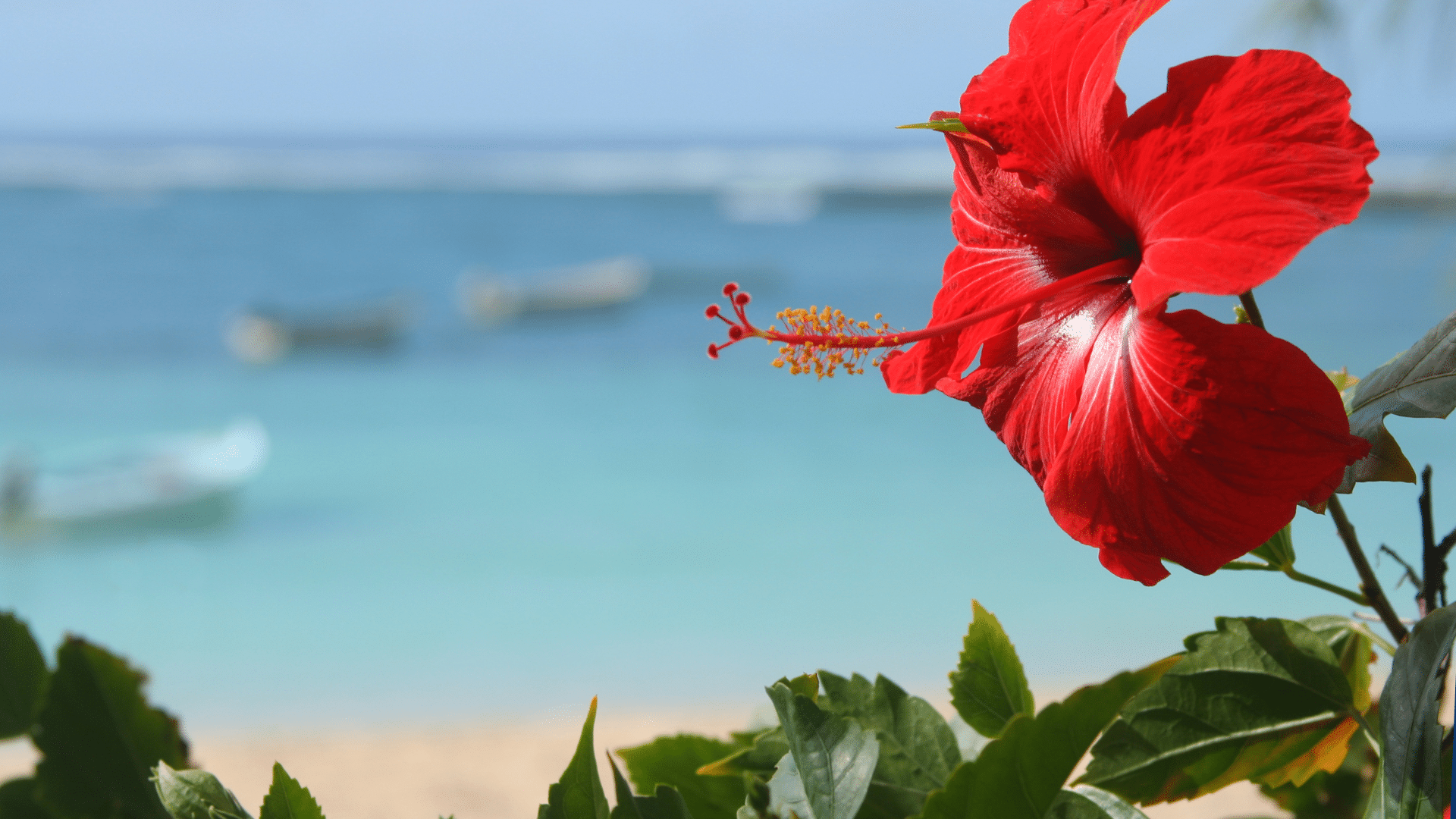 séjourner à l’Île maurice en respectant le shabbat