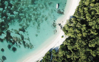 Sukkot by the sea: Celebrating in harmony with nature